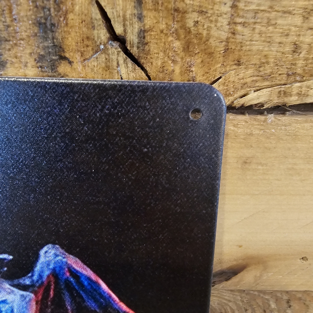 "Beetlejuice" tin sign 7-3/4" x 11-3/4" - Picture 3 of 4